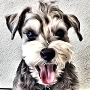 Meet your Posher, Suzanne